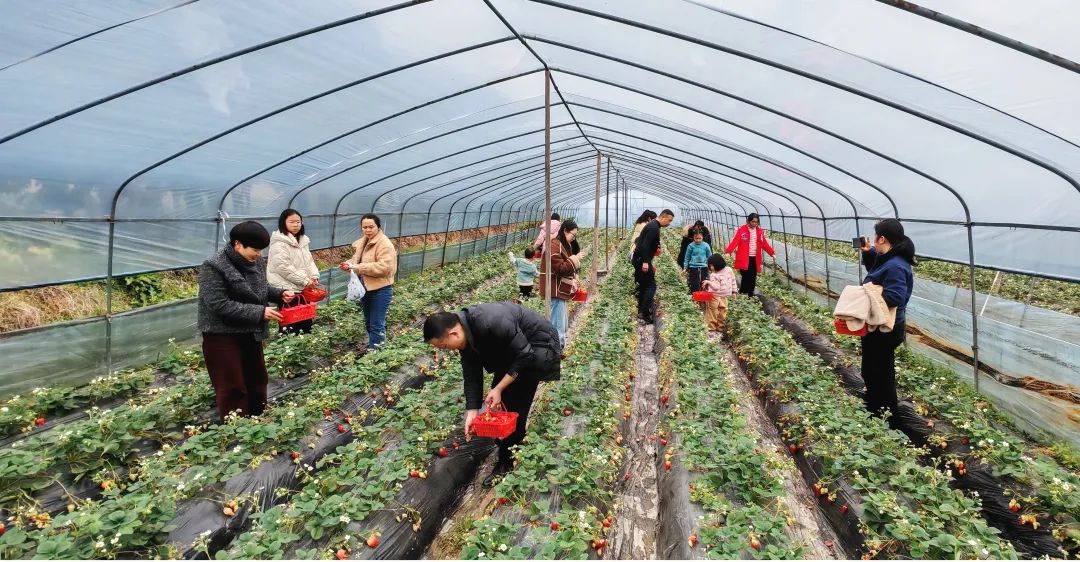 1741567691672701.jpg 1741567691672701.jpg